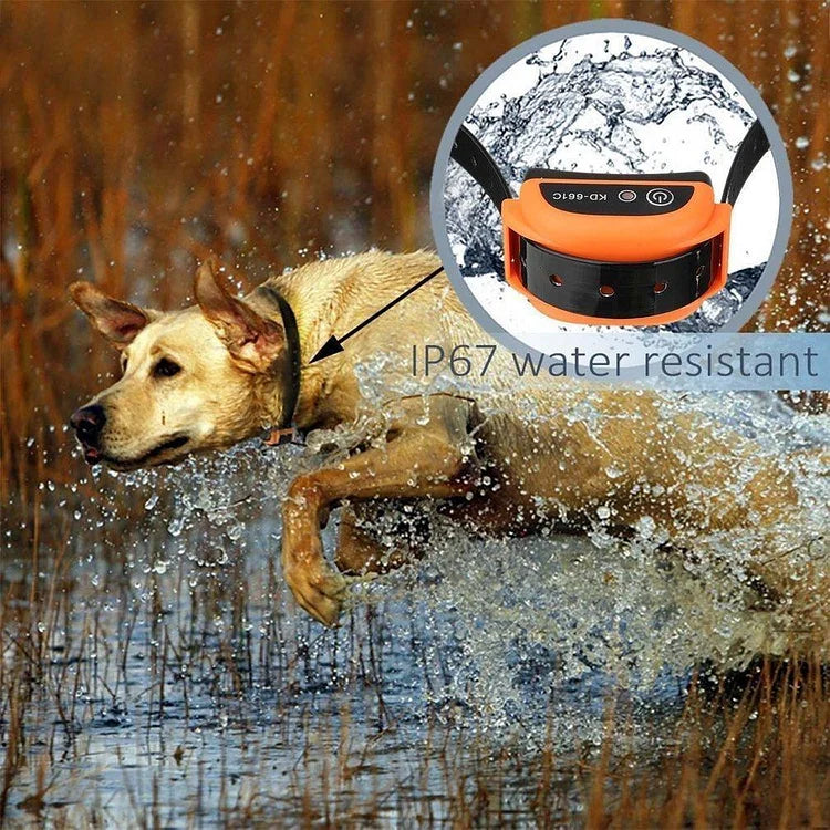 Easy Wireless Pet Fence System With Training Collar