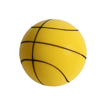 Quiet Indoor Basketball for Home Play - Halri
