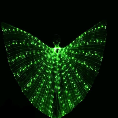 Colorful LED Dance Wings Costume