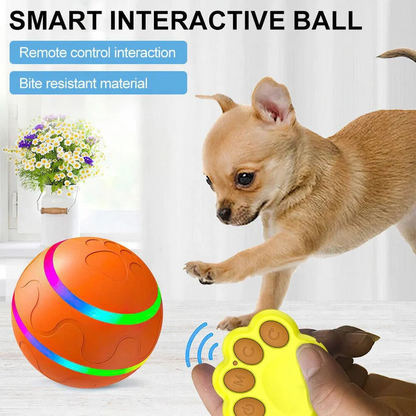 Fun Pet Interactive Bouncing Ball Toy