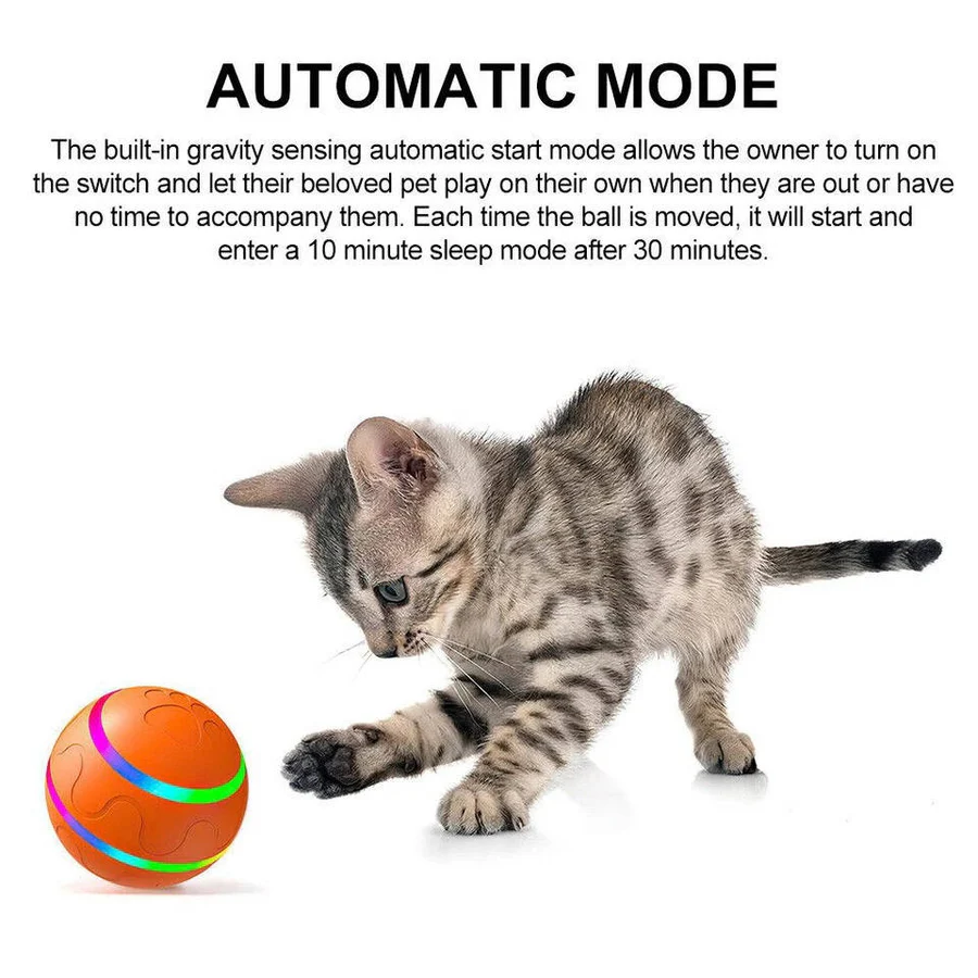 Fun Pet Interactive Bouncing Ball Toy