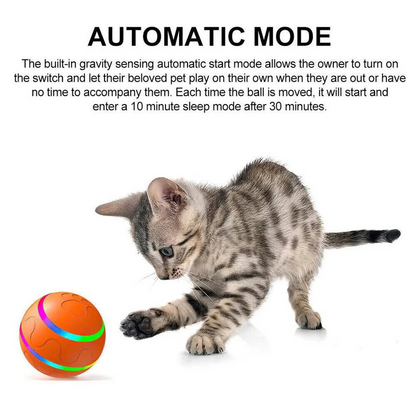 Fun Pet Interactive Bouncing Ball Toy