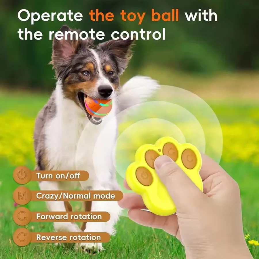 Fun Pet Interactive Bouncing Ball Toy