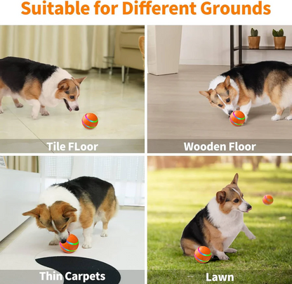 Fun Pet Interactive Bouncing Ball Toy