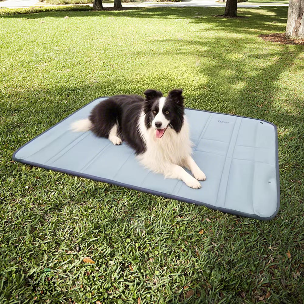Pet Travel Tote Bag