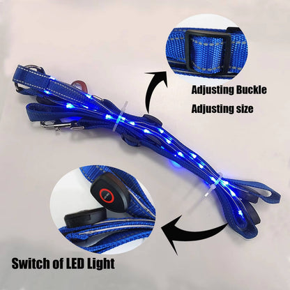 Reflective Horse Breastplate LED Collar