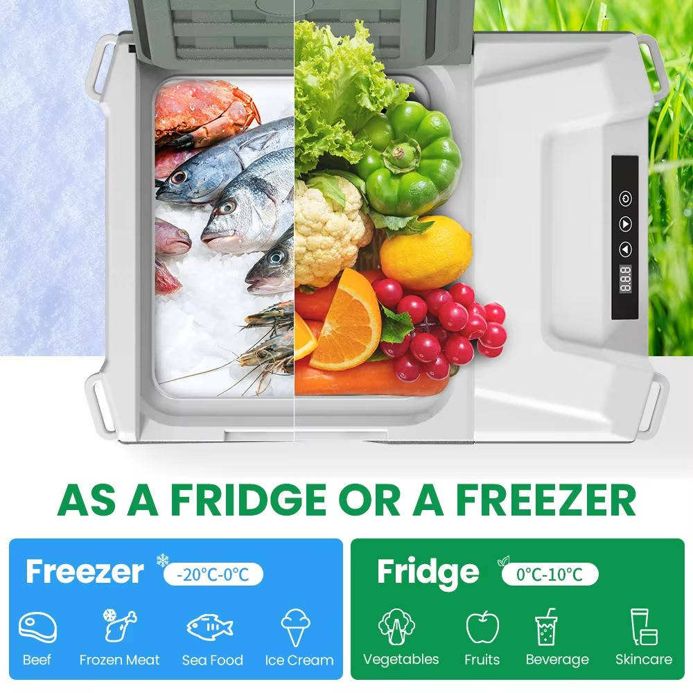 Compact Car Cooler Fridge Box