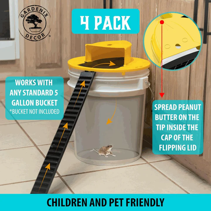 4-Pack Humane Mouse Trap Kit - Reusable Rodent Catcher