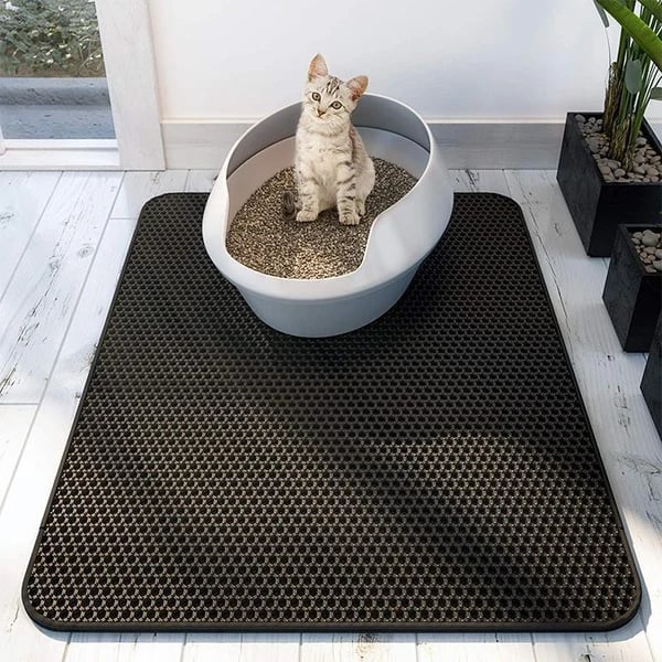 Odor Free Cat Litter Box Solution - Halri
