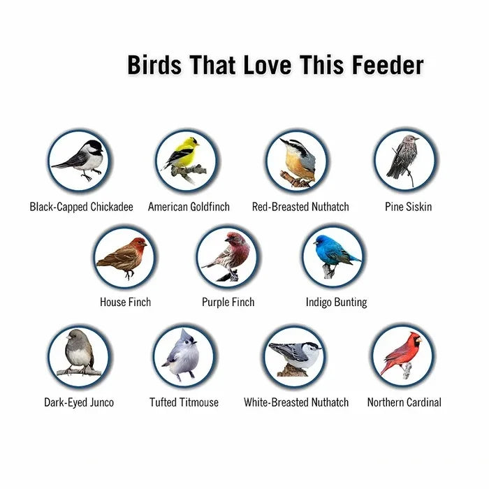 Wild Bird Friendly Feeder Cage