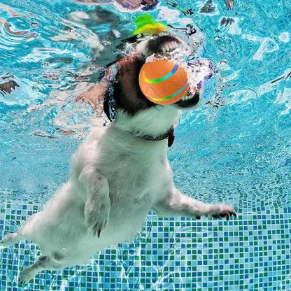 Fun Pet Interactive Bouncing Ball Toy