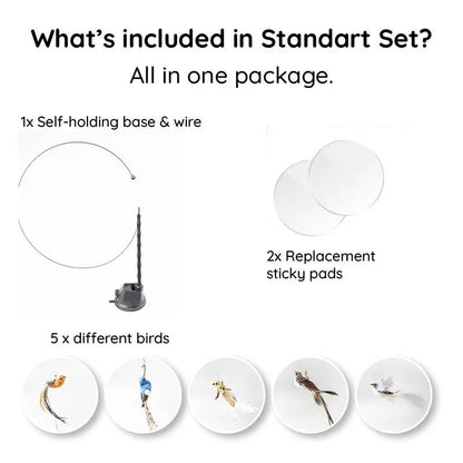 Interactive Feather Toy Kit for Cats
