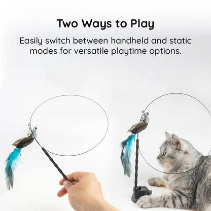 Interactive Feather Toy Kit for Cats