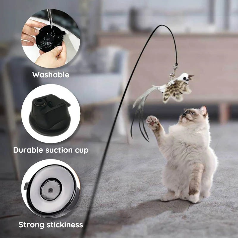 Interactive Feather Toy Kit for Cats