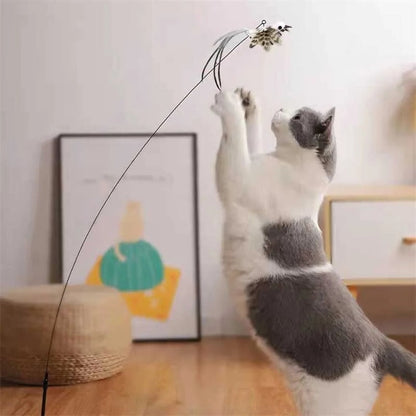 Interactive Feather Toy Kit for Cats