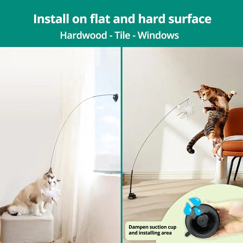Interactive Feather Toy Kit for Cats