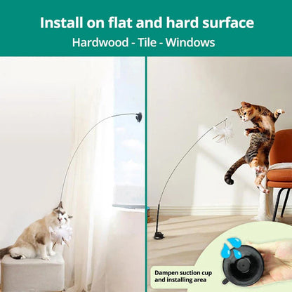 Interactive Feather Toy Kit for Cats