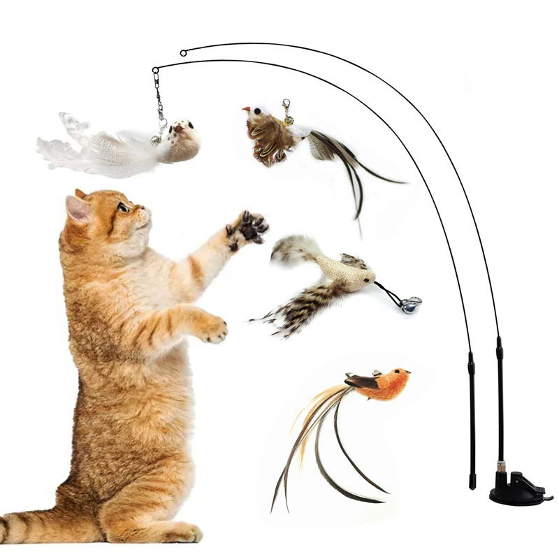 Interactive Feather Toy Kit for Cats - Halri