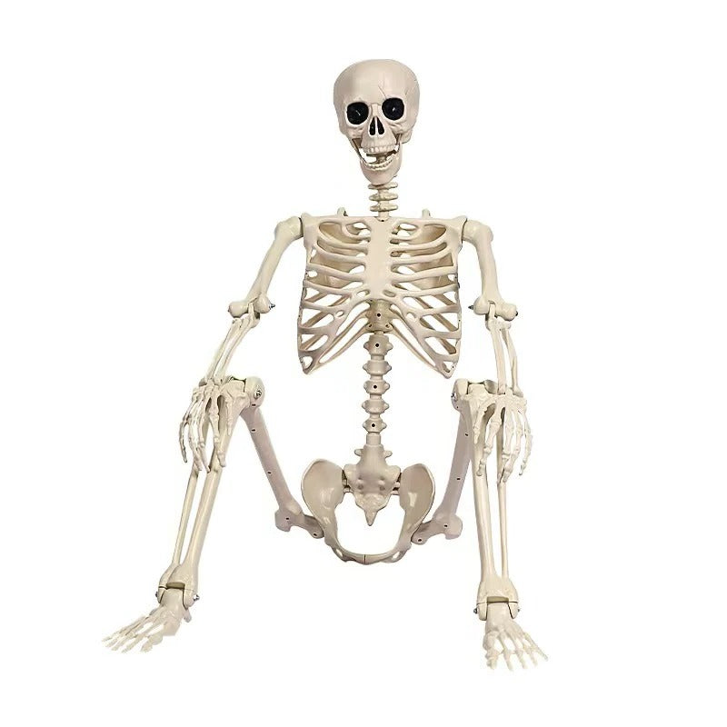 Giant Halloween Skeleton Prop