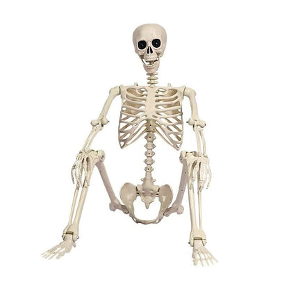 Giant Halloween Skeleton Prop