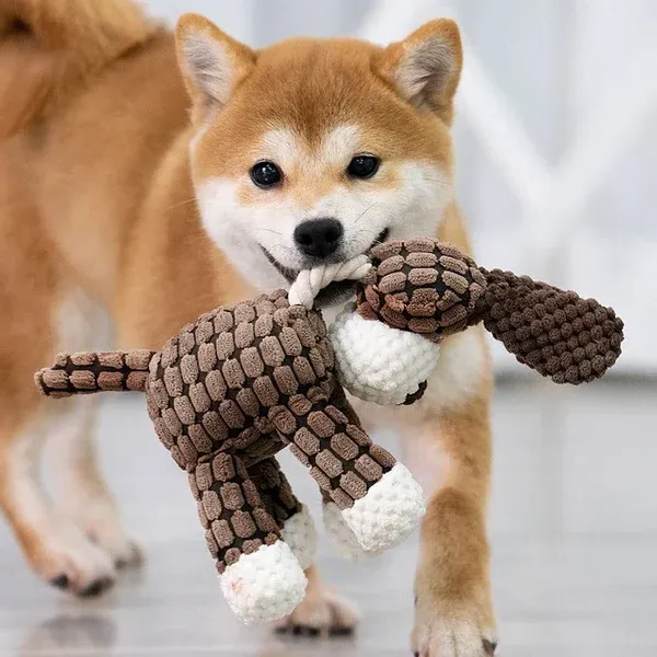 Durable Toy for Heavy Chewers