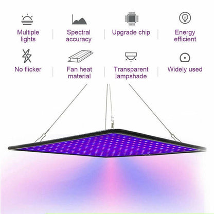 Bright Adjustable Floor Lamp for Indoor Gardening