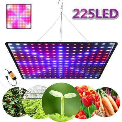Bright Adjustable Floor Lamp for Indoor Gardening