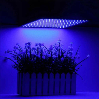 Bright Adjustable Floor Lamp for Indoor Gardening