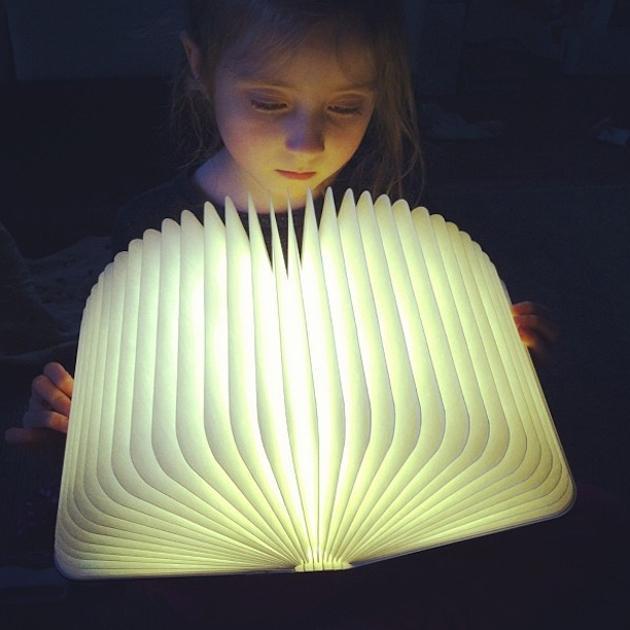 Natural Wood Table LED Lamp - Halri