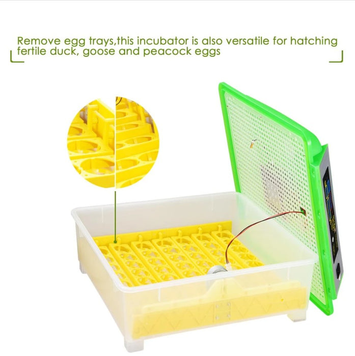 Large Capacity Automatic Egg Incubator