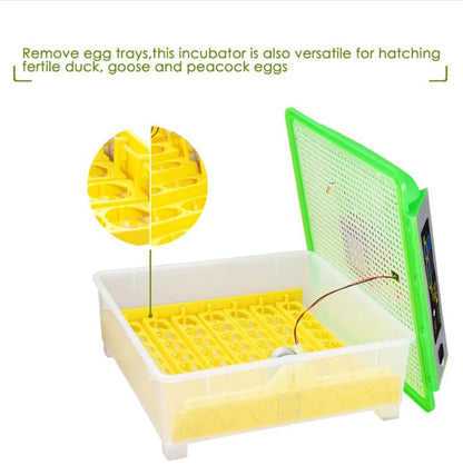 Large Capacity Automatic Egg Incubator