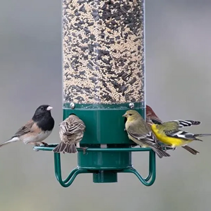 Wild Bird Feeder with Squirrel Guard and Spin Tray - Halri