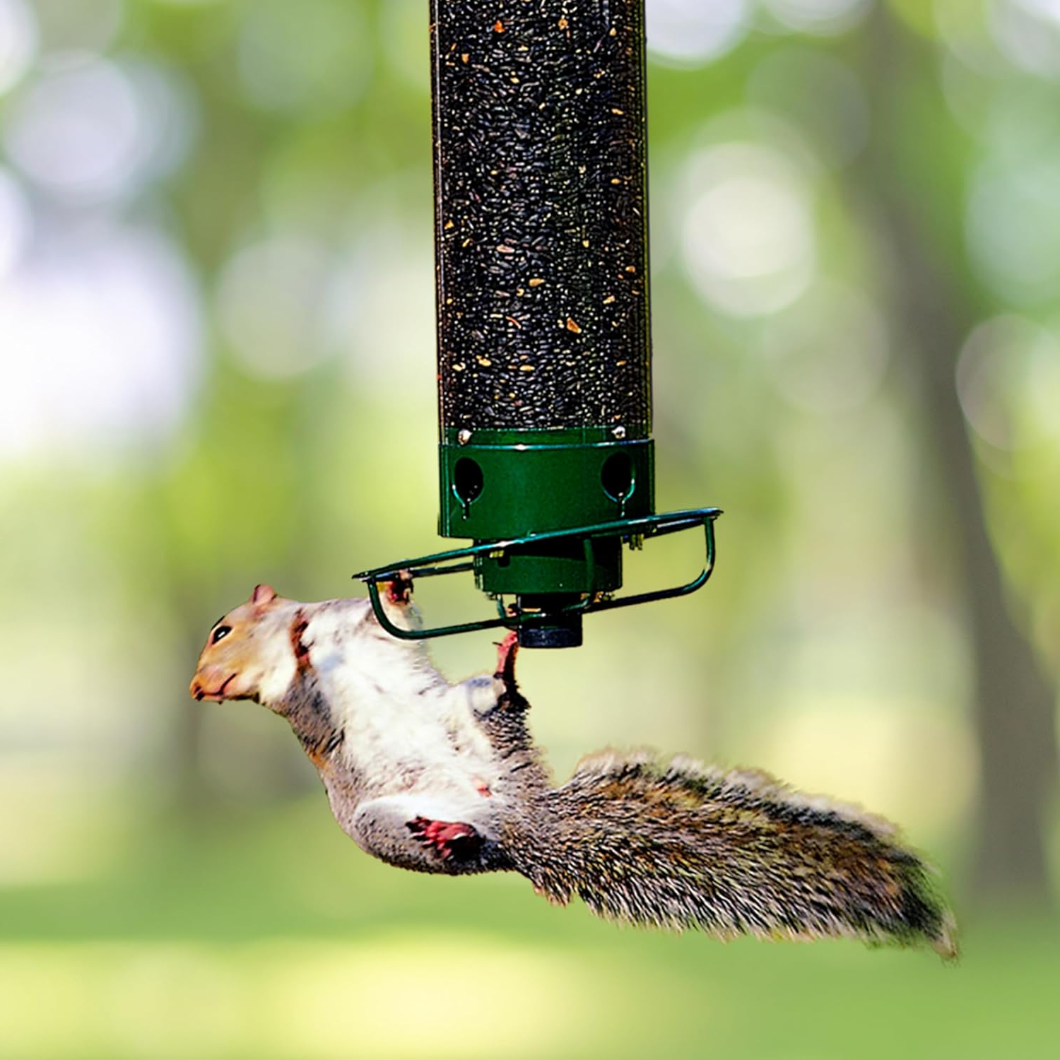 Wildlife Resistant Bird Feeder Cage - Halri