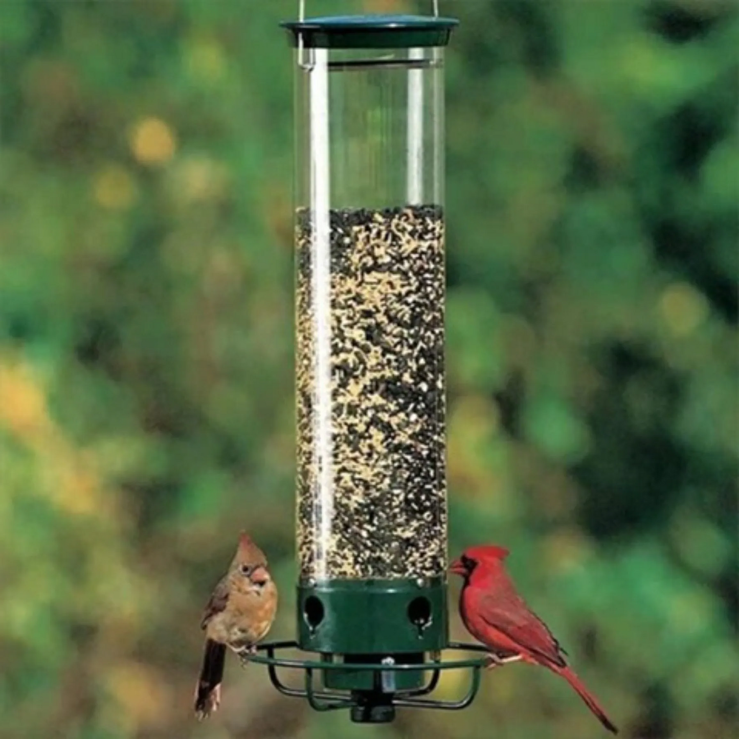 Wild Bird Feeder with Squirrel Guard and Spin Tray