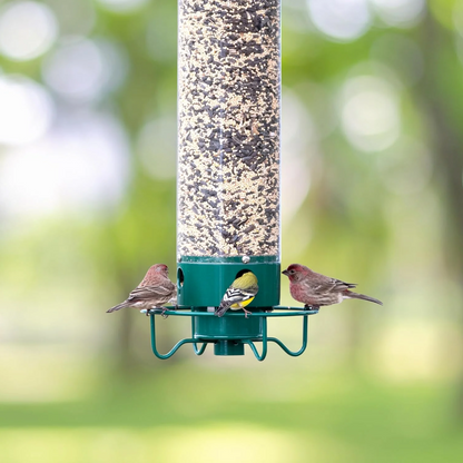 Wildlife Resistant Bird Feeder Cage