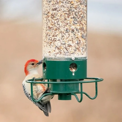 Wild Bird Feeder with Squirrel Guard and Spin Tray