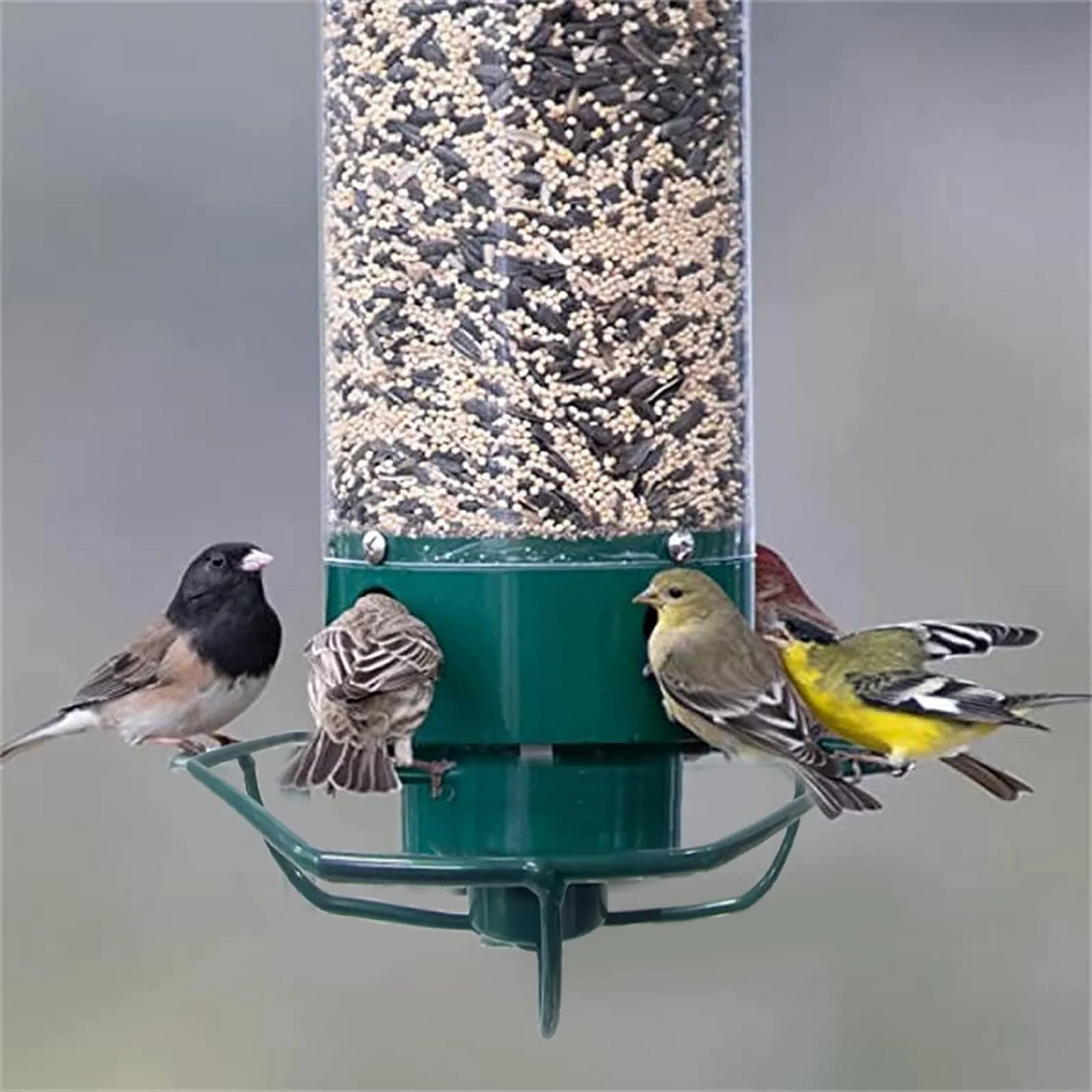 Wildlife Resistant Bird Feeder Cage