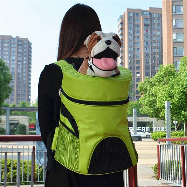 Compact Folding Pet Travel Carrier - Halri
