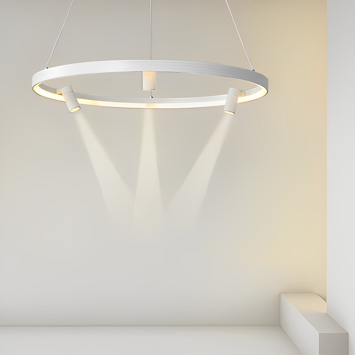 Unique Circle Pendant LED Hanging Light