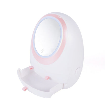 Travel Compact LED Makeup Mirror Organizer Case
