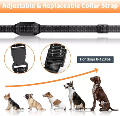Easy Pet Training Collar