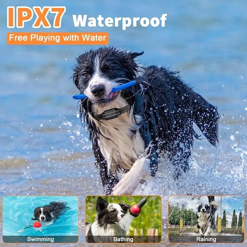 Easy Pet Training Collar