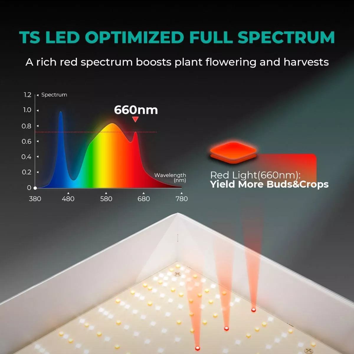 Energy Efficient LED Grow Lamp For Indoor Gardens