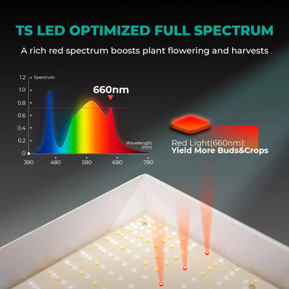 Energy Efficient LED Grow Lamp For Indoor Gardens