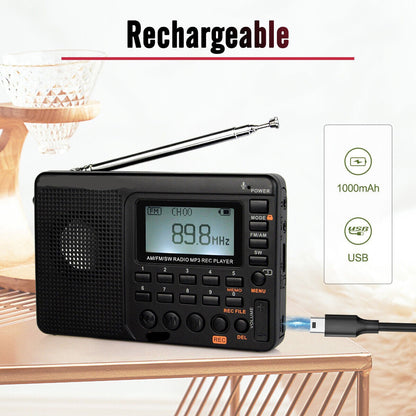 Compact Portable AM FM Radio Speaker