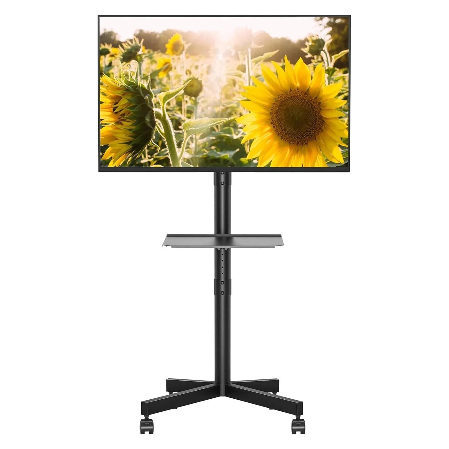 Mobile TV Cart - Halri