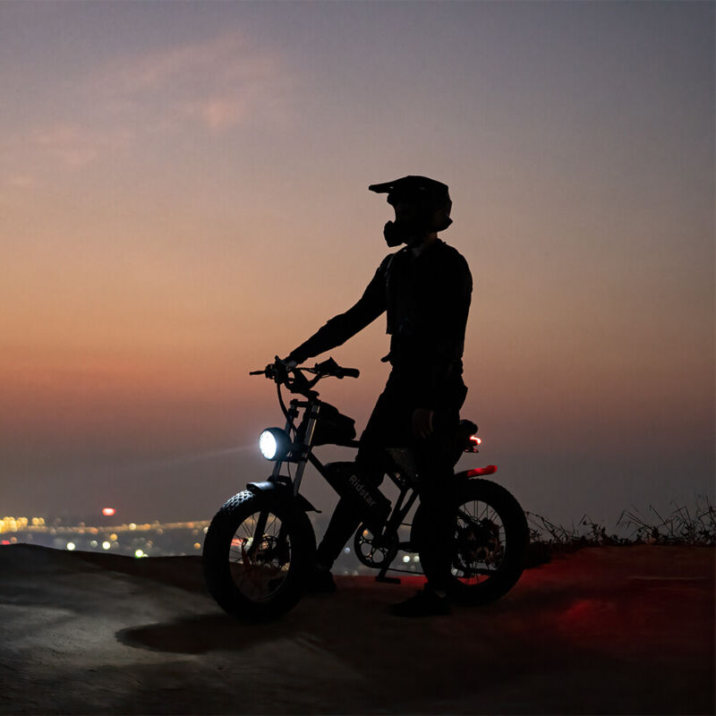 Powerful 20 Fat Tire Electric Mountain Bike