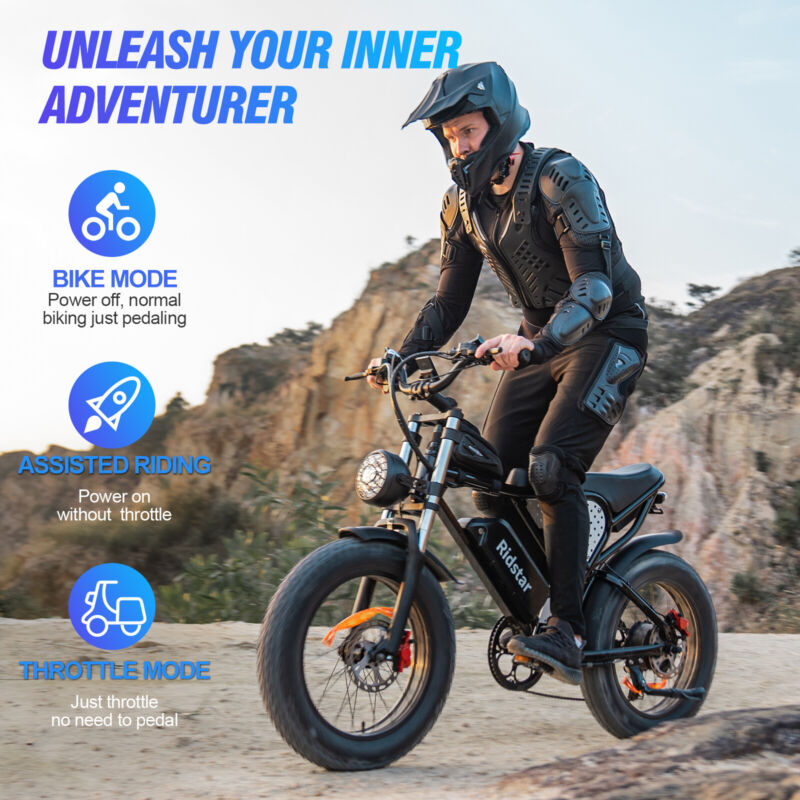 Powerful 20 Fat Tire Electric Mountain Bike