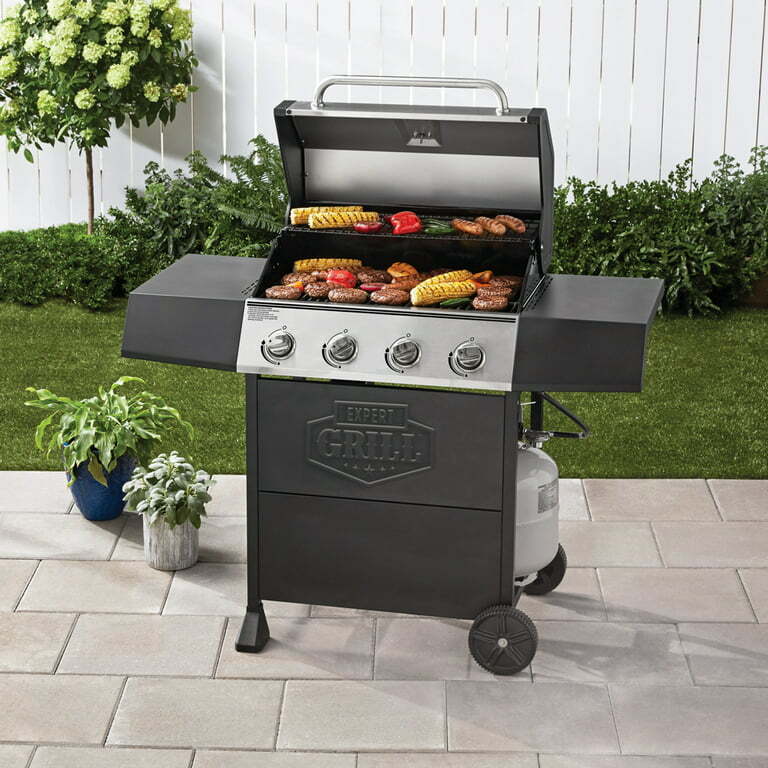 Portable Outdoor Propane BBQ Grill