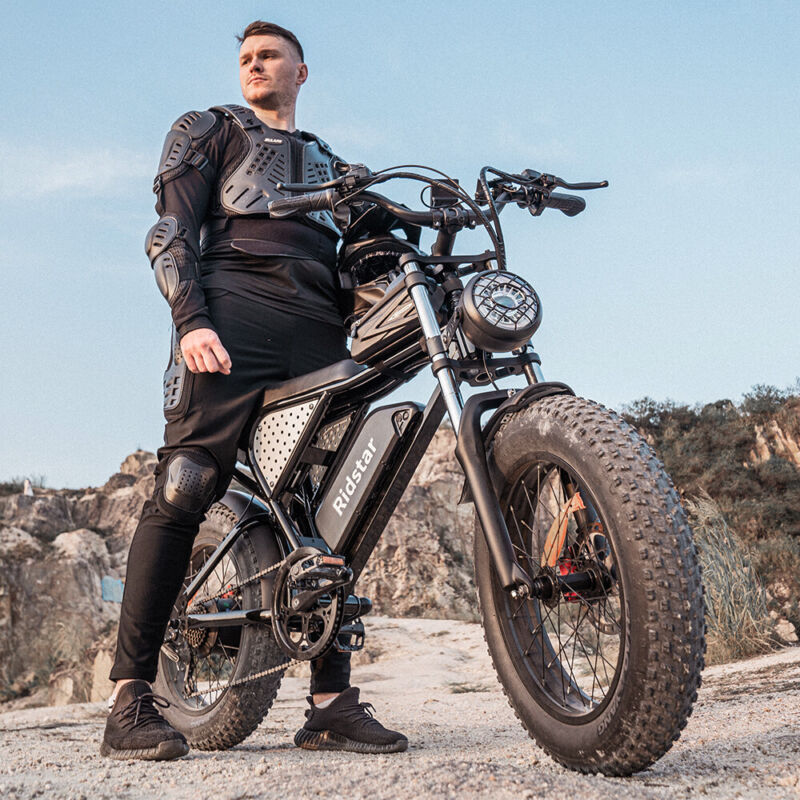 Powerful 20 Fat Tire Electric Mountain Bike